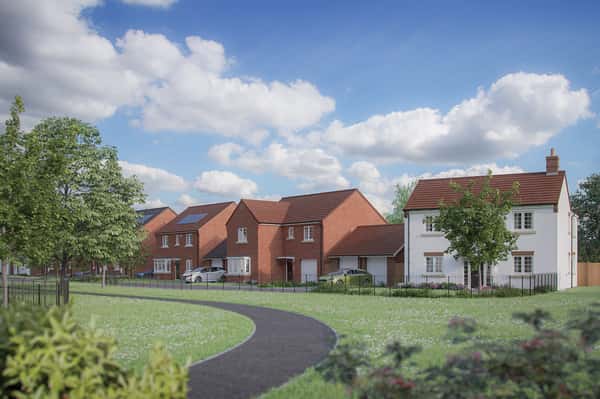 Woodland Glade - Image 6