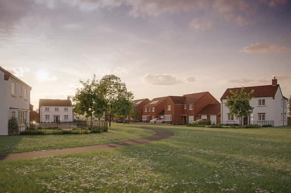 Woodland Glade - Image 8