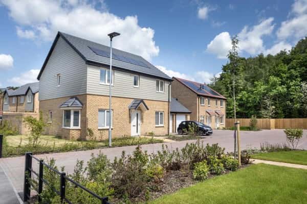 Wild Walk - Image 10