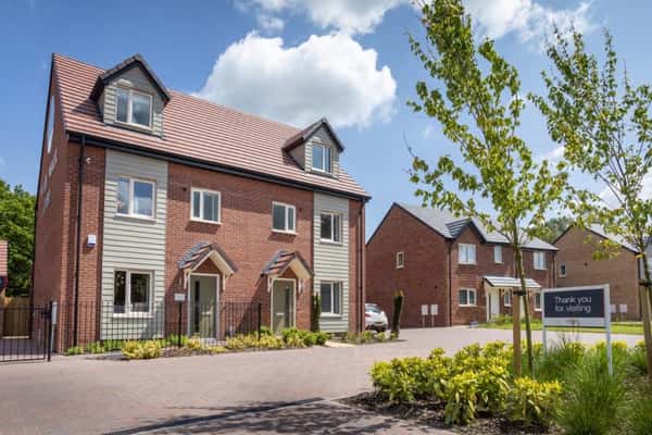 Wild Walk - Image 11