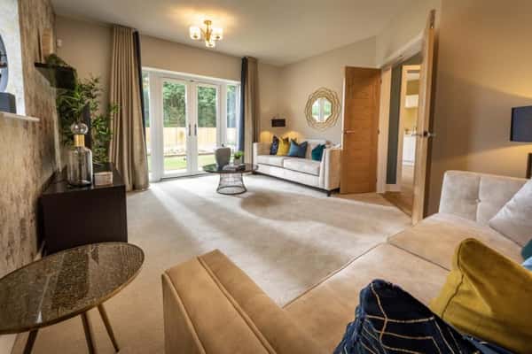 Wild Walk - Image 13