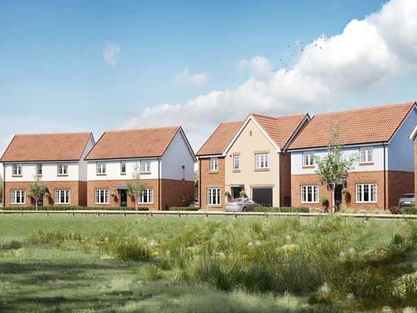 Castle Walk - Image 9