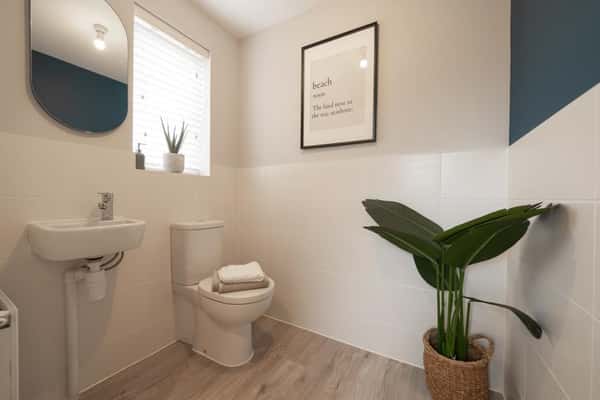 Swan Park - Image 18