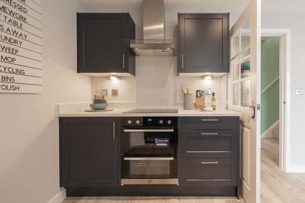 Swan Park - Image 16