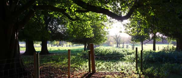 Berkeley Dene, Gloucestershire - Image 2