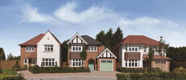 Polden Orchards, Puriton - Image 3