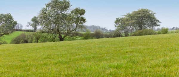 Silverbrook Meadow, Webheath - Image 2