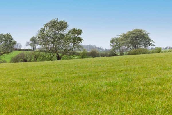 Silverbrook Meadow, Webheath - Image 14