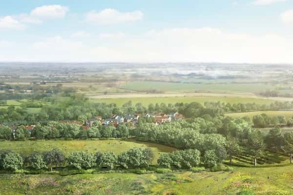 Alresford Down - Image 2