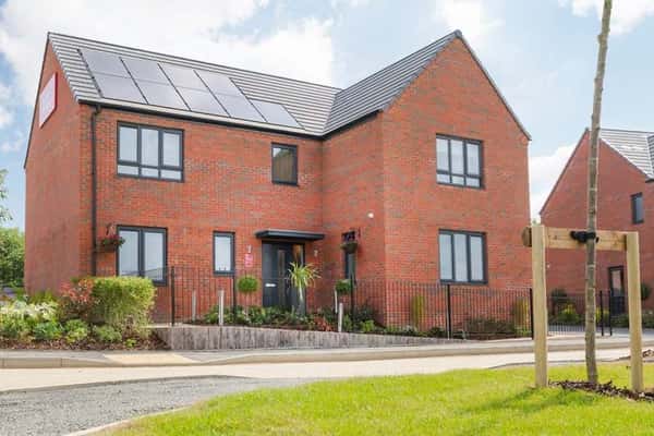 Bronze Park - Image 7