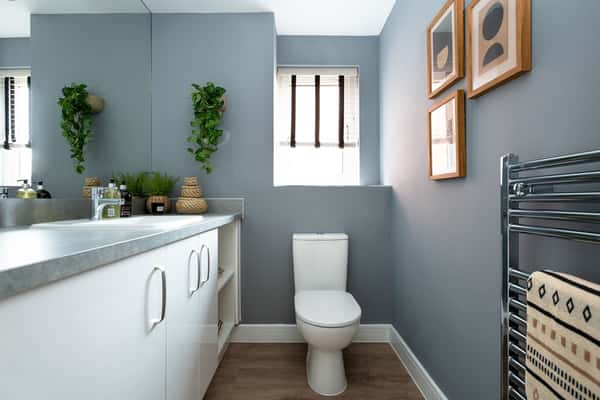 Gresley Meadow - Image 13