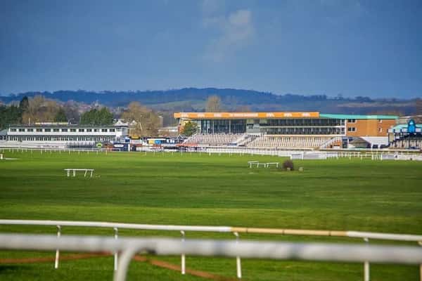 Hamilton Copse - Image 2