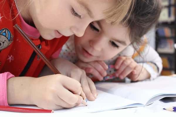 Hamilton Copse - Image 1