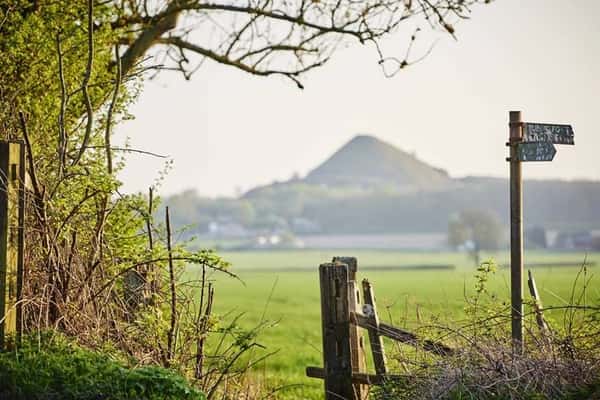 Meadow Green - Image 8