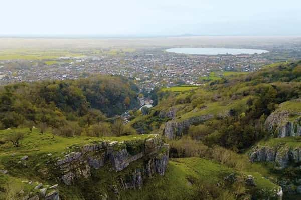 Oak Park Cheddar - Image 7