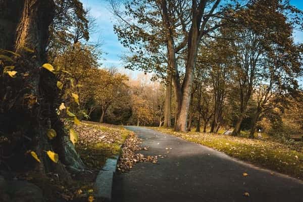 Seaham Garden Village - Image 2