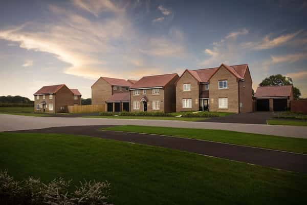 Trinity Fields - Image 2