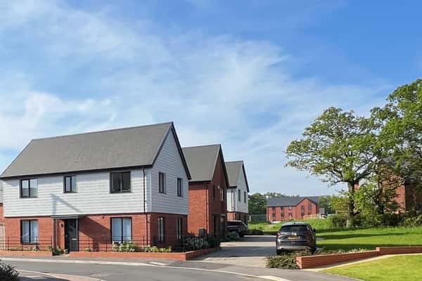 Woodlands Chase - Image 2