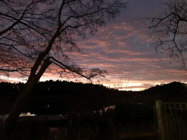 Delamere Road, Norley - Image 18