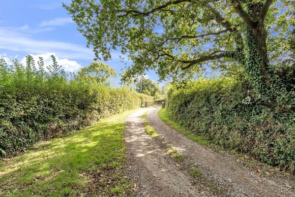 Buckerell, Honiton - Image 15