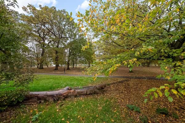 Norwood Park Road, Knight's Hill - Image 9