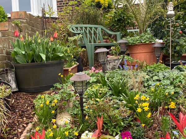 Norwood Park Road, Knight's Hill - Image 16