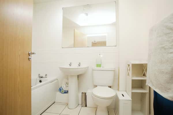 Richmond Gate, Hinckley - Image 12