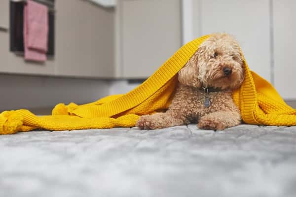 2 bedroom apartment at East Village - Image 32