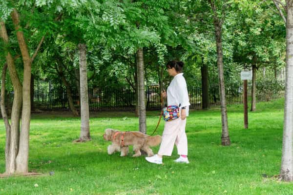 2 bedroom apartment at East Village - Image 33