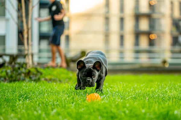 2 bedroom apartment at Elephant Central - Image 18