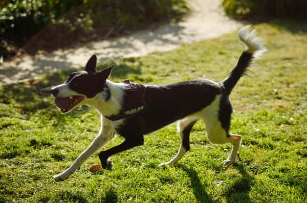 1 bedroom apartment at Elephant Central - Image 23
