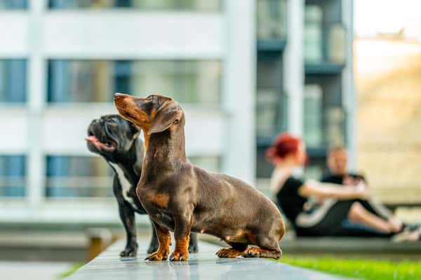 1 bedroom apartment at Elephant Central - Image 8