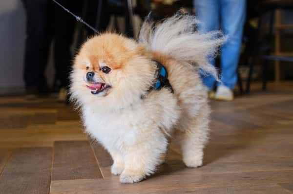 2 bedroom apartment at Elephant Central - Image 12