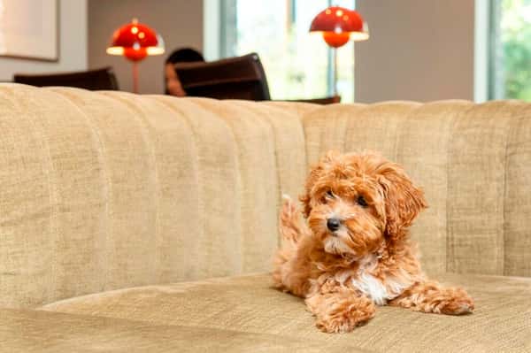 Studio apartment at The Lark - Image 15