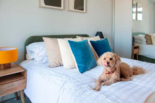 Studio apartment at The Lark - Image 16