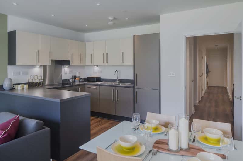 Apo at The Gatefold - Image 12