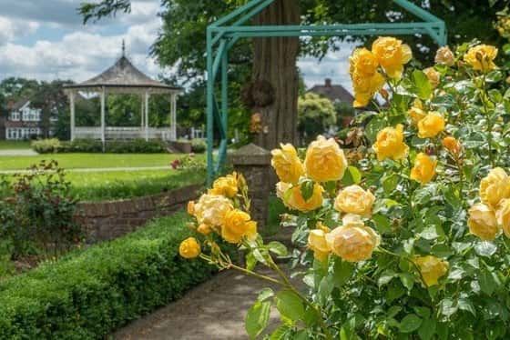 Apo at The Gatefold - Image 4