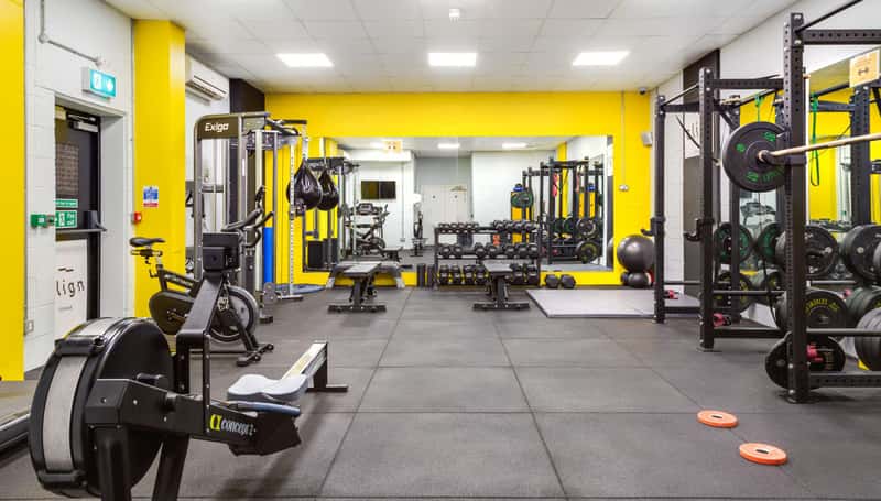 Dressage Court - Image 5