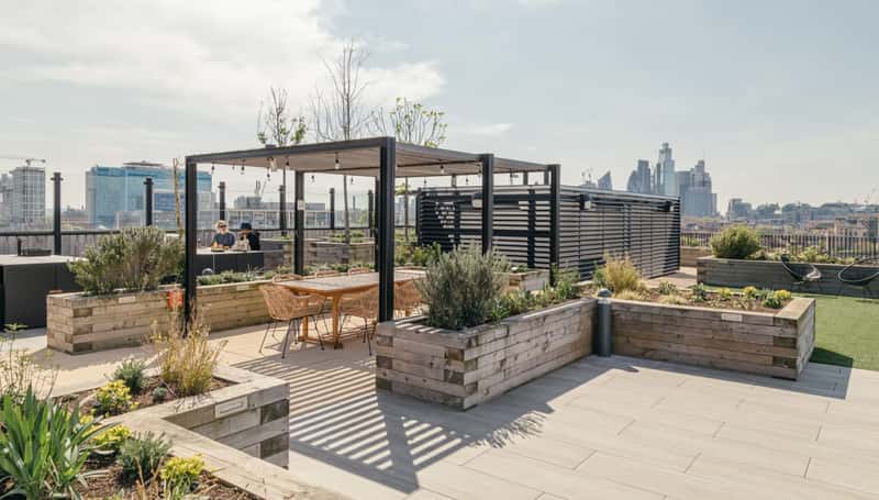 Dressage Court - Image 2