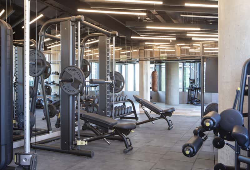 Enclave: Crodyon - Image 4