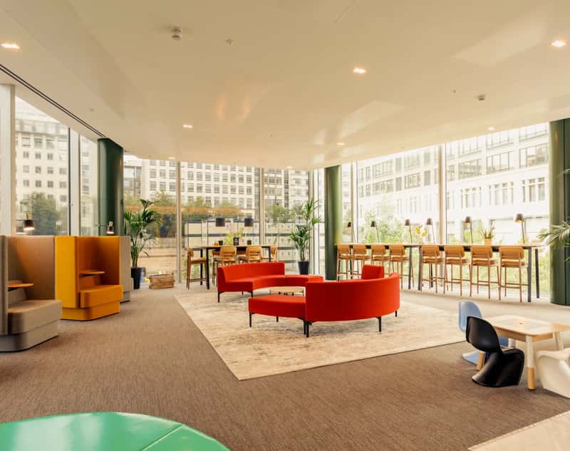 Newfoundland - Image 6