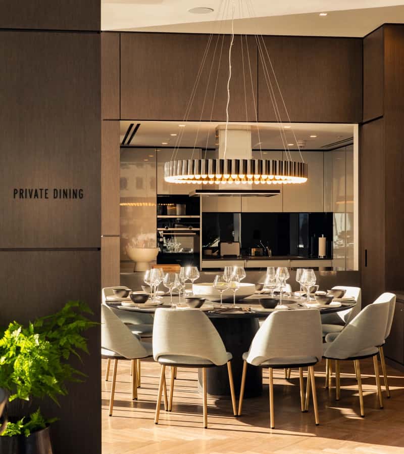 Newfoundland - Image 3