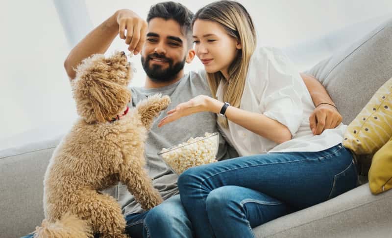 The Blockhouse - Image 5