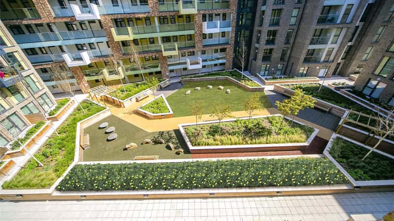 The Horizon - Image 3