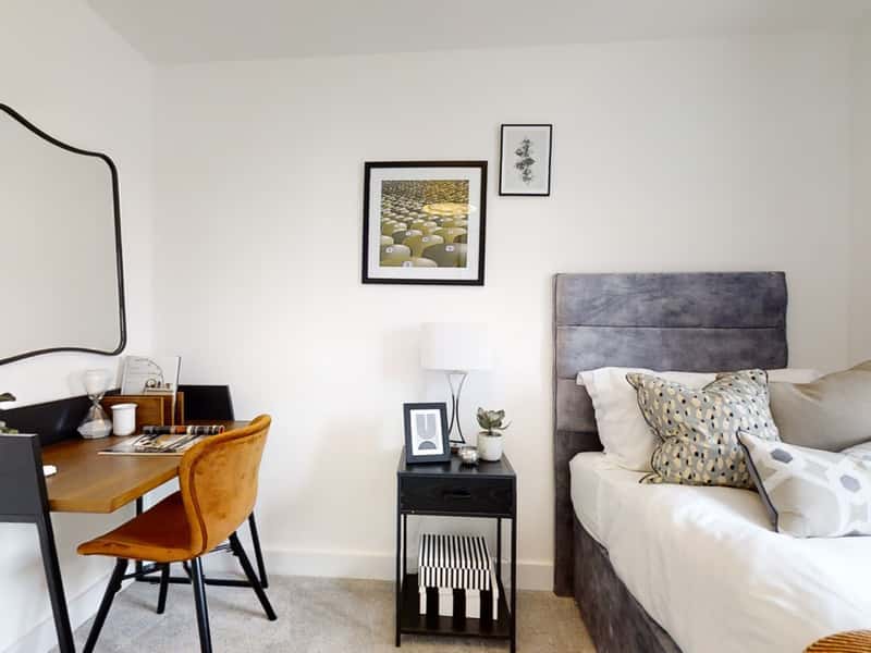 The Pioneers - Image 3