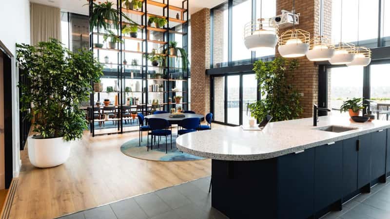 The Wullcomb - Image 3