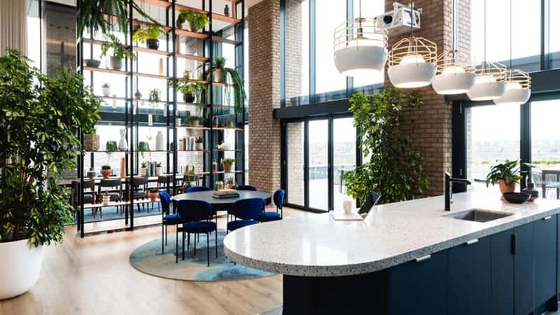 The Wullcomb - Image 5