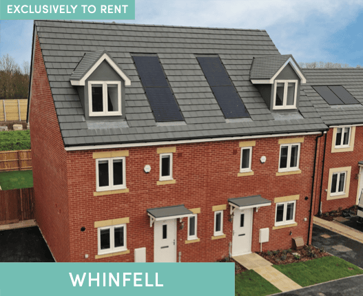 Westminster Walk - Image 3