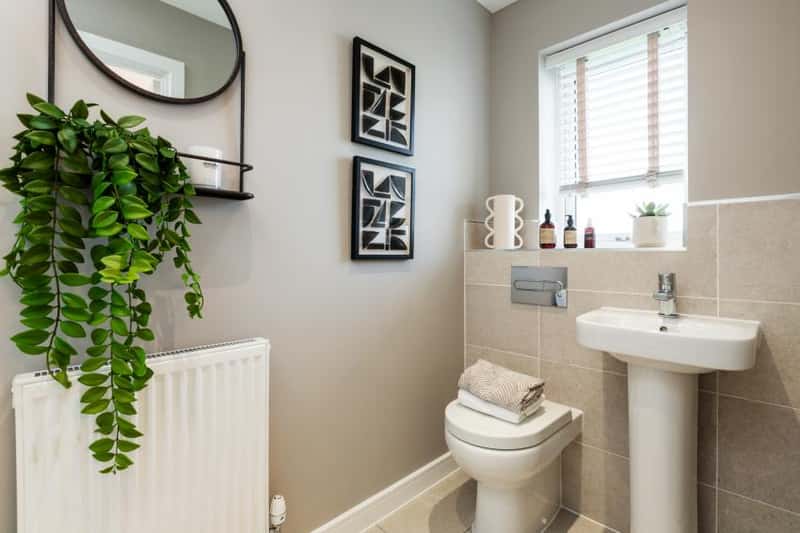 Ashberry at Whitehouse Park - Image 15