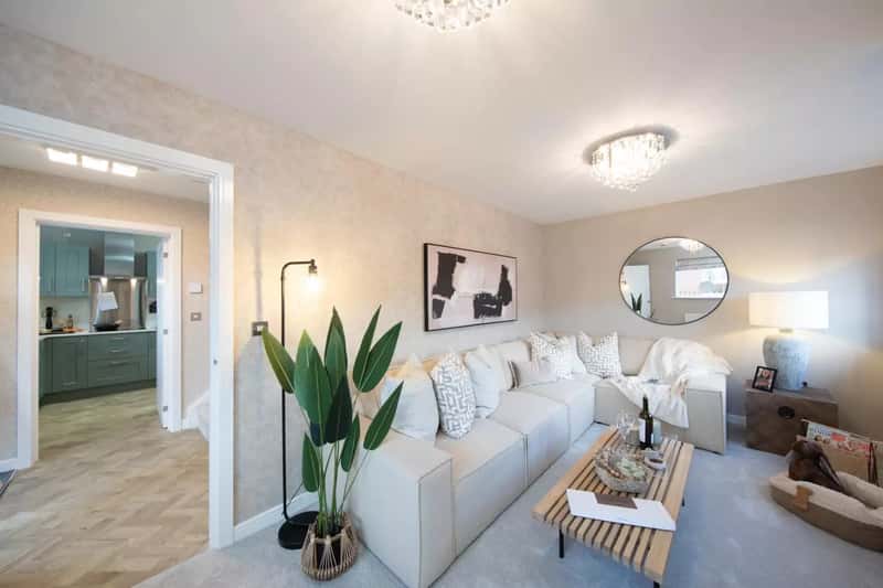 The Acorns - Image 3